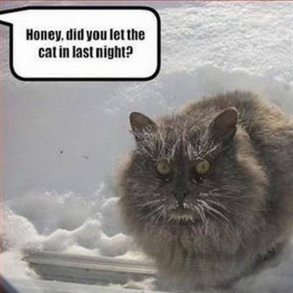 😁 Funnies to Bring a Laugh and Joy to your Day! 😁 - Picture 10 of 15